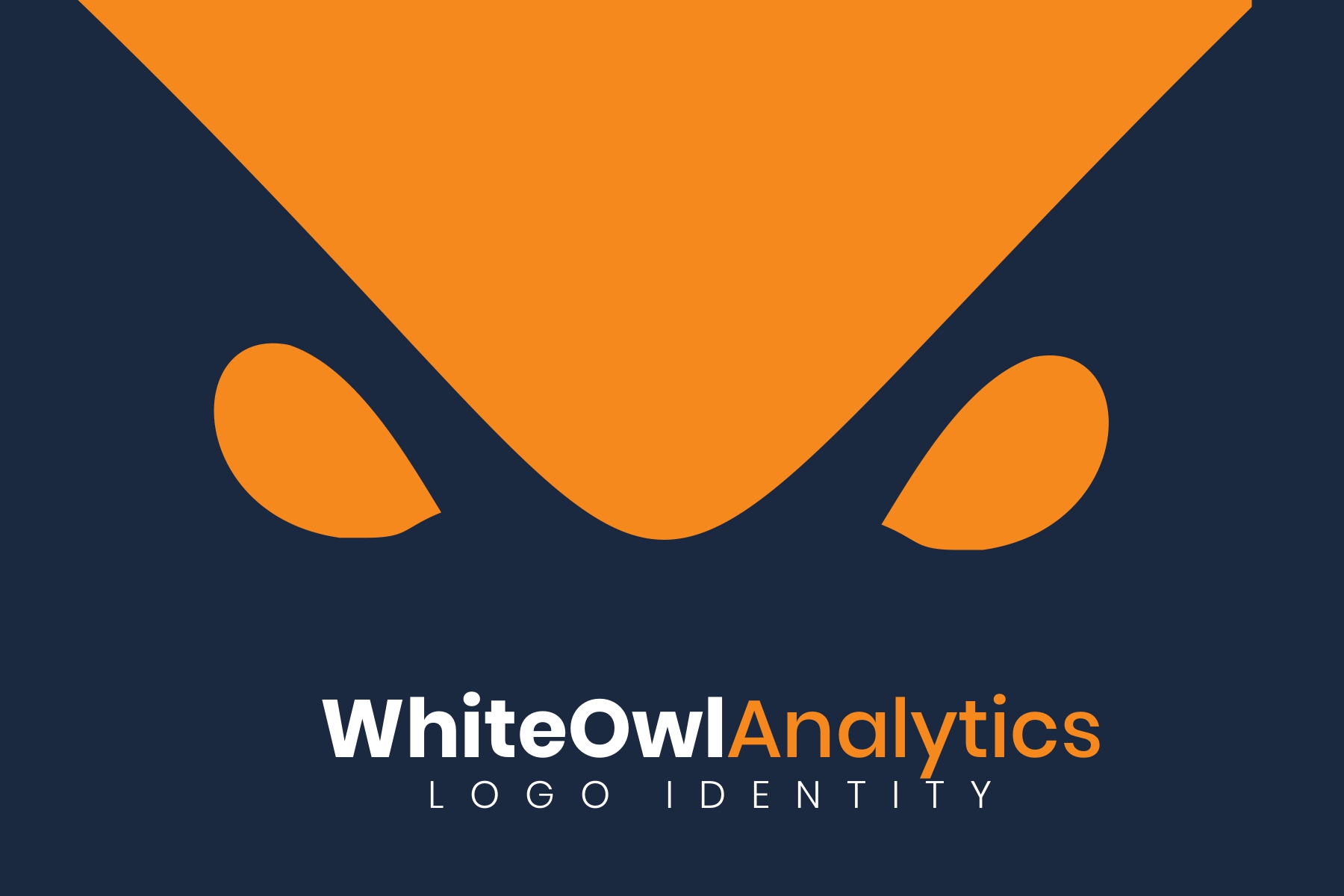 WhiteOwl Analytics page 1